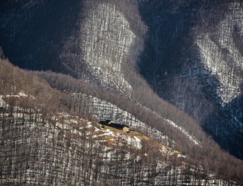 Aree Interne: l’Appennino Emiliano, strategia d’area