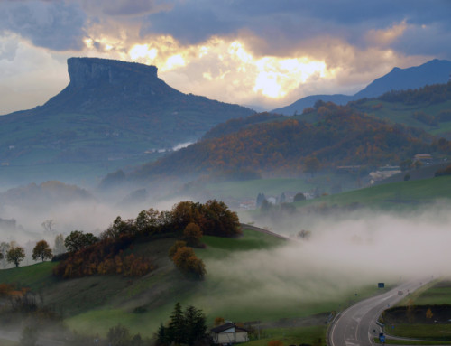 L’Appennino Reggiano è una Green Community, dal PNRR nuove risorse per la Montagna del Latte